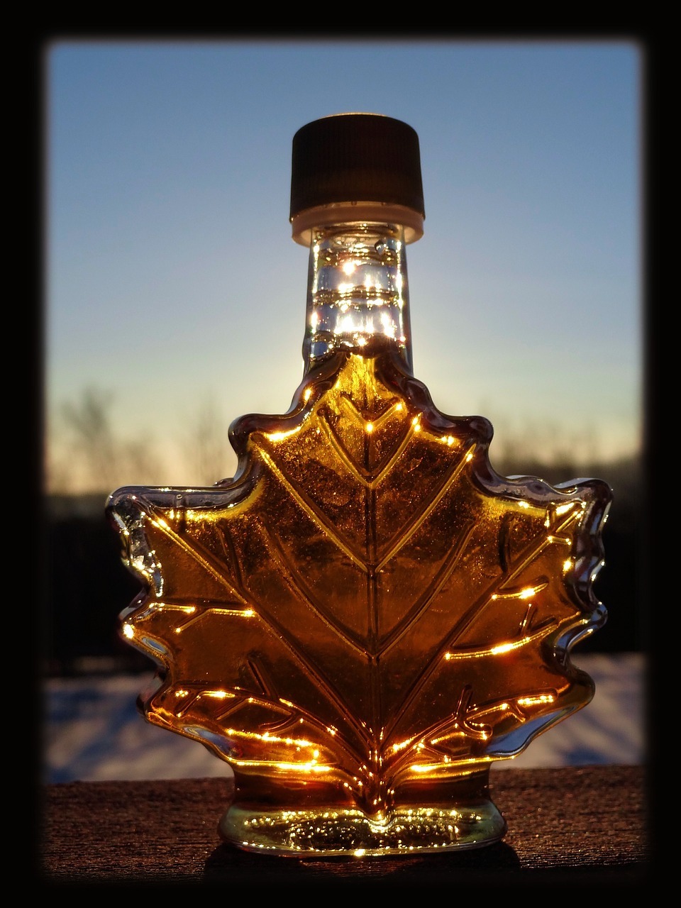 Nutrition myths: maple syrup 