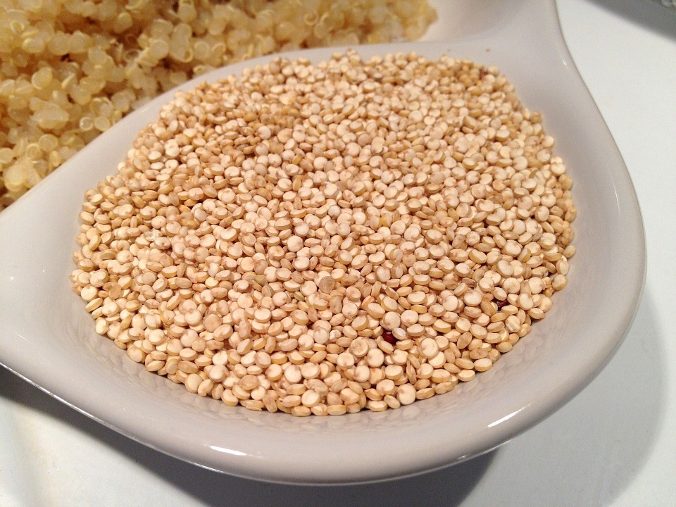 quinoa-405538_960_720