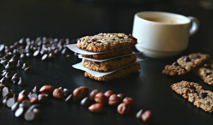 Hazelnut Chewy Chocolate Oatmeal Bars (Gluten Free & Vegan)