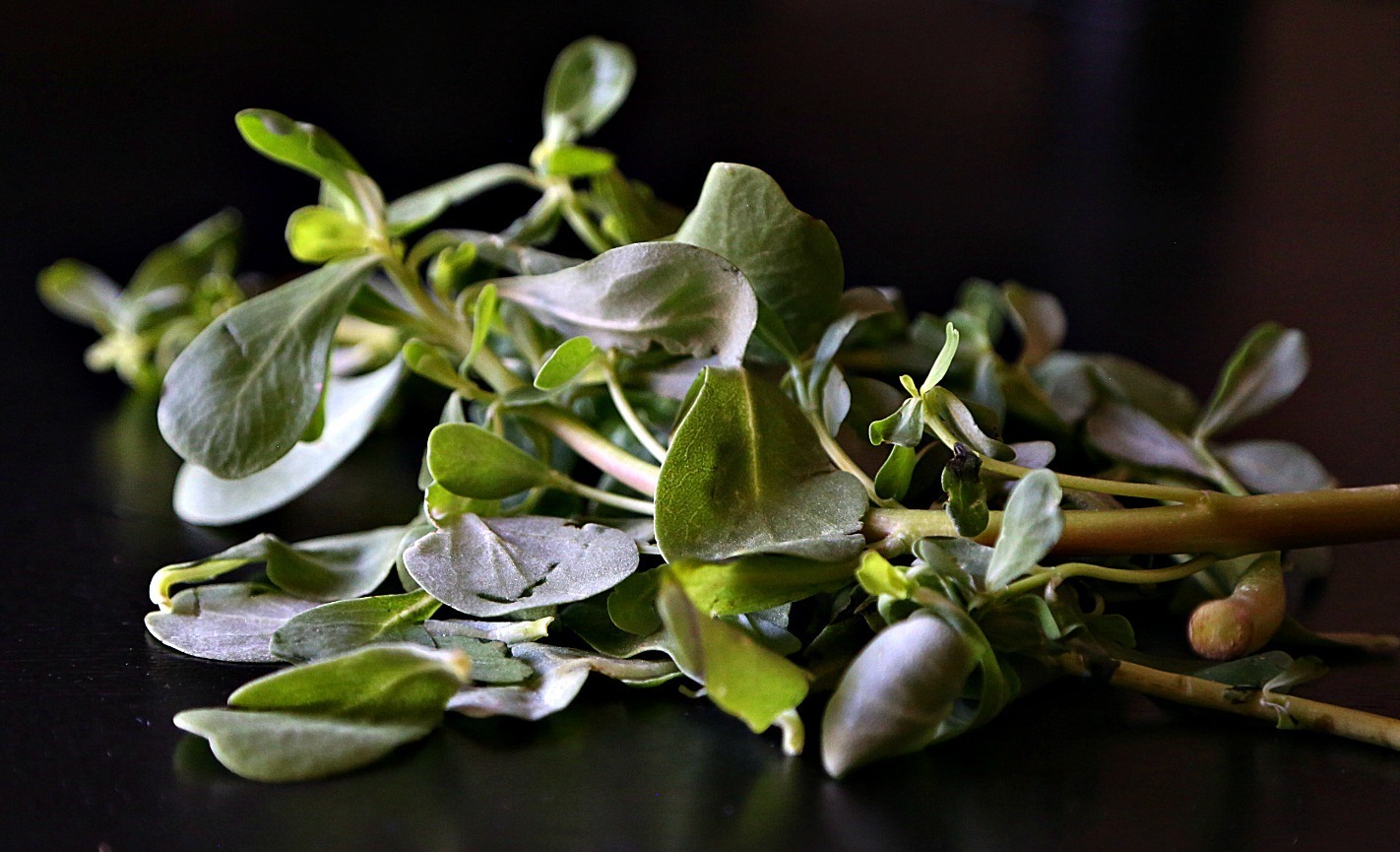 fresh watercress