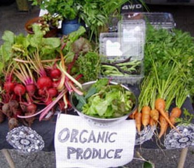 To go for Organic products or not? My thoughts