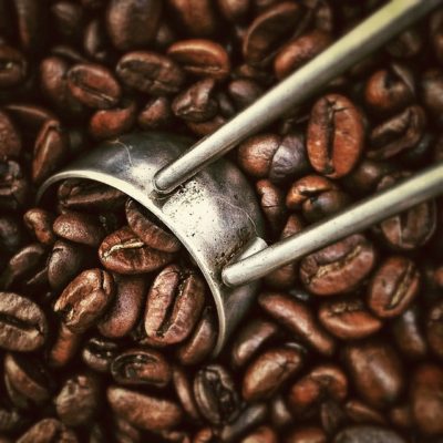 What do you need to know about coffee