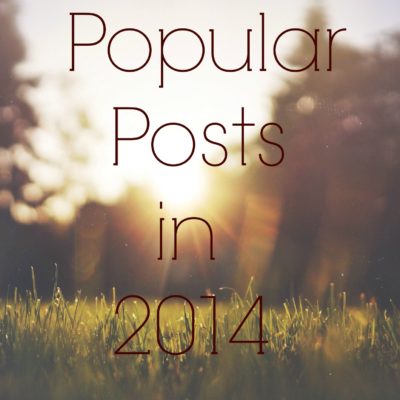The Most popular posts in 2014